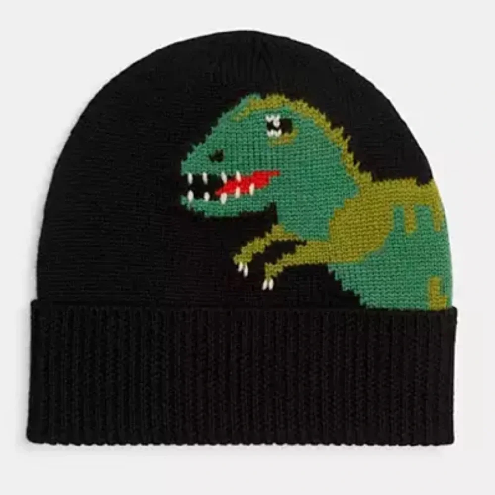 COPY - Coach Rexy Knit Beanie new with tags in packaging - Picture 1 of 7